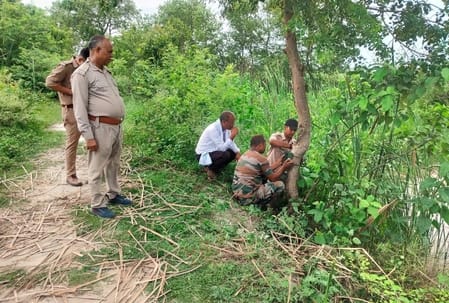 14 cameras installed to monitor the tiger