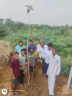 Triveni installed at the cremation ground