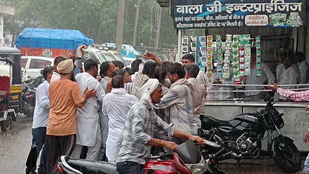 DAP reached the district after two months, farmers remained steadfast even in the rain
