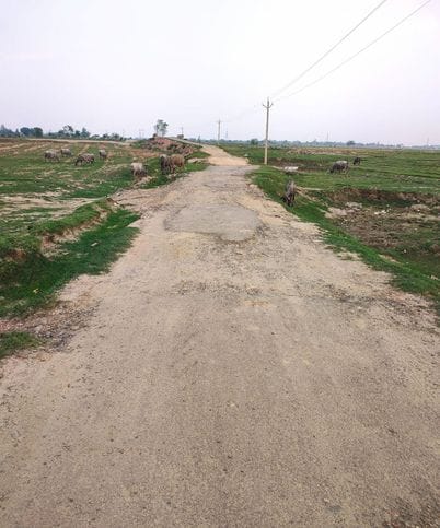 The road was cut off in the flood... not repaired even after a year