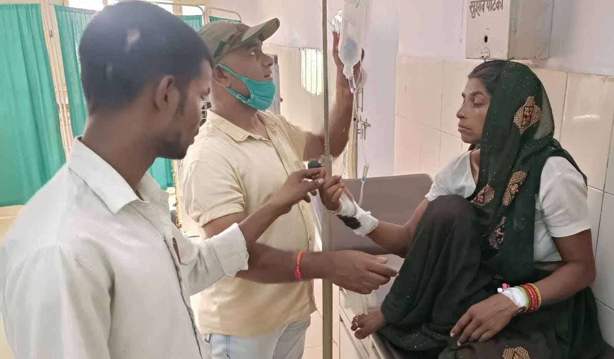 11 people were bitten by snakes at different places