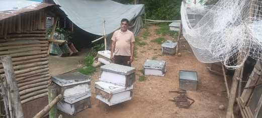 30 farmers from six panchayats will strengthen their economy through beekeeping.