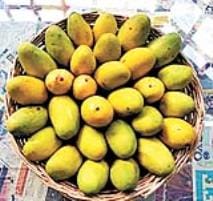 Mango festival will be held in Lucknow from 4th to 6th July