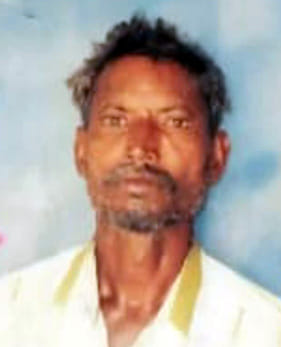 A farmer cutting fodder was bitten by a snake and died