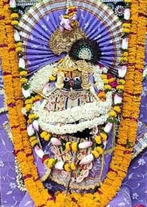Devotees will feel relieved on the unpaved path