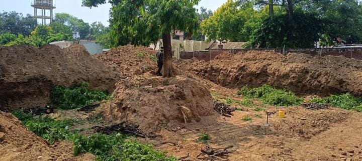 In the name of development, green trees were sawed, but the forest department was silent