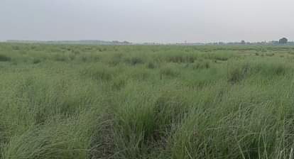 सांकेतिक तस्वीर।