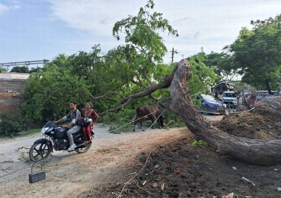 Tree fell on Kadar Chowk road, traffic affected