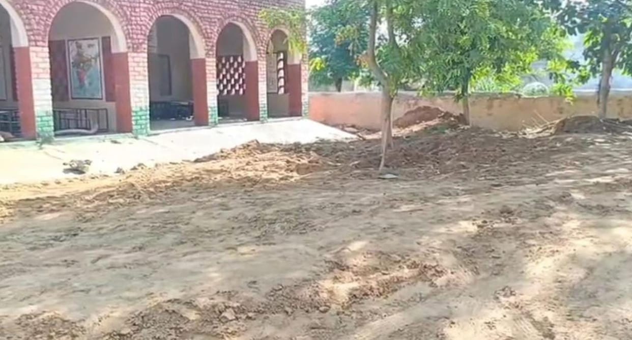 forest department will enquire about cut trees in government school