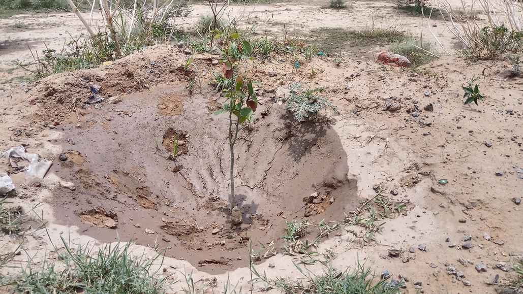 Plantation campaign in the district, forest department will plant 10 lakh saplings