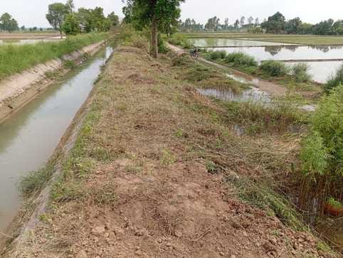 Munshiwala minor broke four times in a week, paddy plantation is getting affected