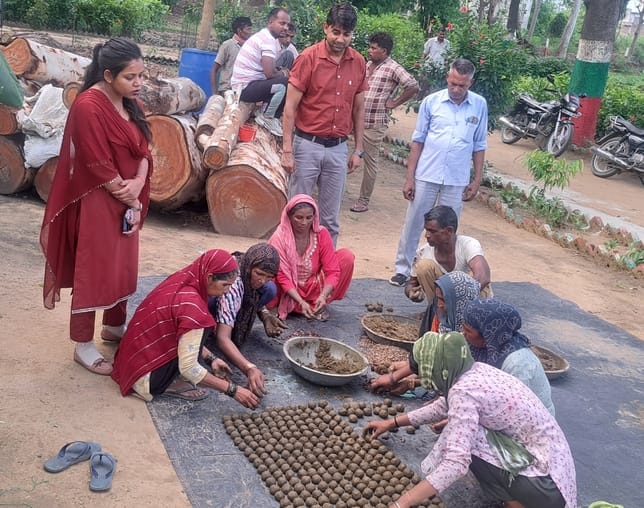 Greenery will sprout from seed balls in empty land