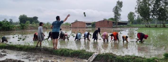 The faces of the rain-drenched farmers, I brisk in planting rice