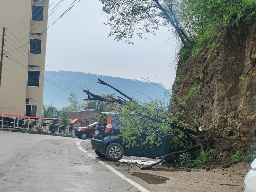 Heavy rain increased troubles, tree fell on car, one road closed