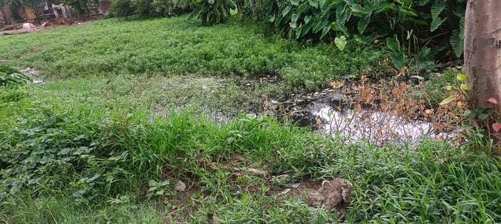 Two sides clash over possession of pond, five injured including principal