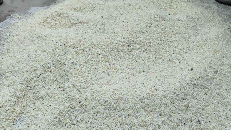 Bihar News: लापरवाही मामले में विद्यालय प्रधान निलंबित, बीईओ ने केस दर्ज कराया; लगाए यह गंभीर आरोप