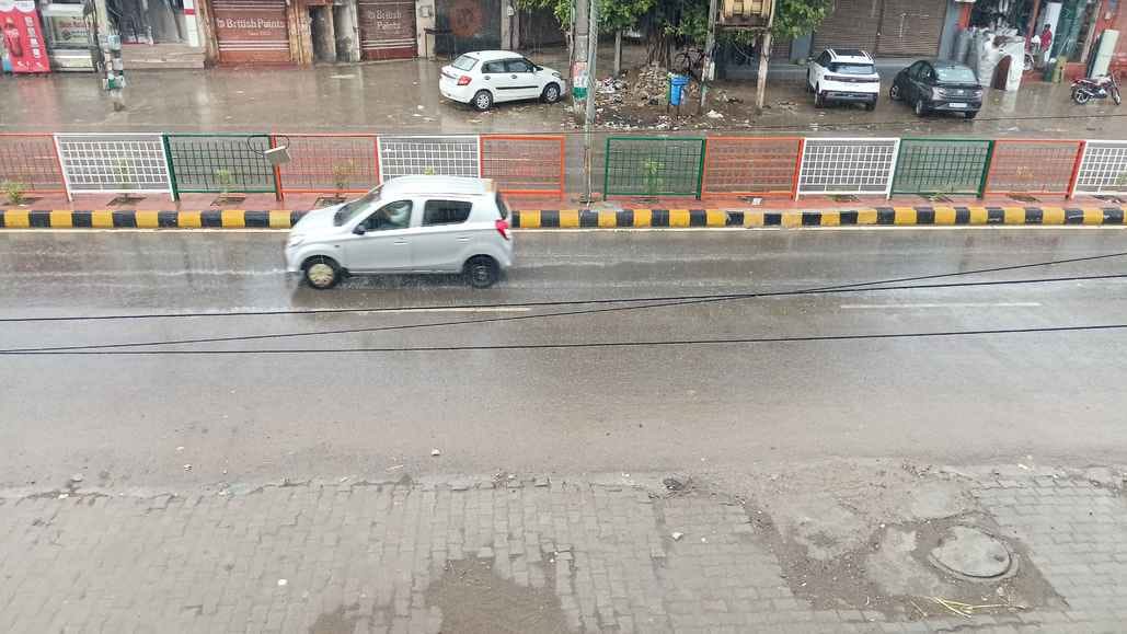 Waterlogging in the city due to rain, crops got a new lease of life