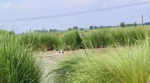 No trace of the child who fell into the canal was found even on the third day