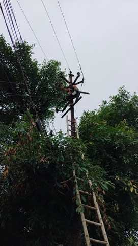 Power supply to more than 8,000 consumers stalled for five hours