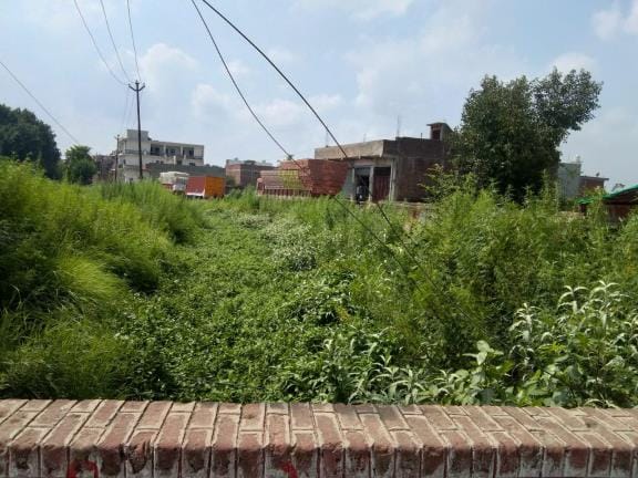 Irrigation crisis in 25 villages due to weeds in minor