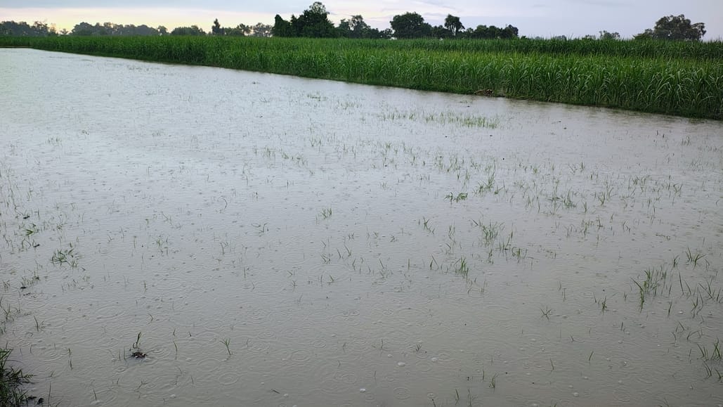 It rained heavily... relief from the heat, waterlogging became a problem