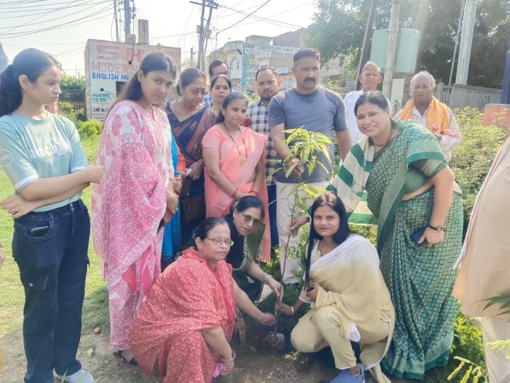 More than 200 plants were planted in Parasnath Park