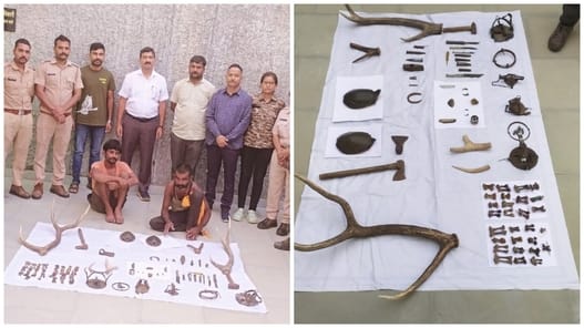 Illegal wildlife trade uncovered in Kota, 4 arrested