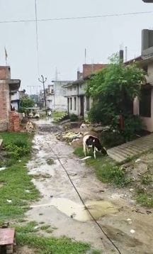 The main line wire broke, half the city's power went out for seven hours