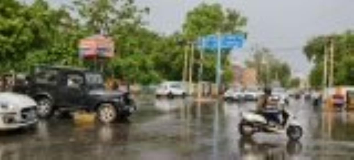 It rained in 11 districts of the state, 45.5 mm rain in Charkhi Dadri