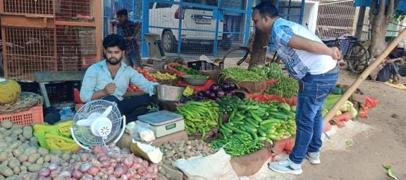 Green coriander bloomed in the rain, green chilli prices increased