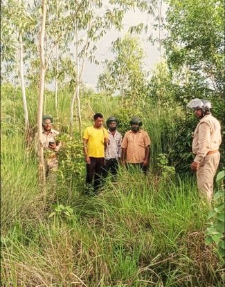 The leopard was not caught even on the third day
