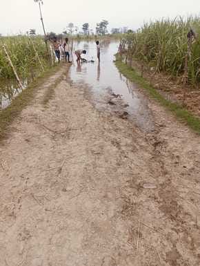 Panic among villagers residing on the banks of Sharda