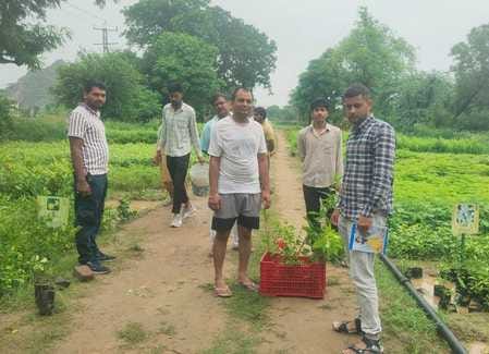 4 thousand plants were distributed in the nursery on the first day