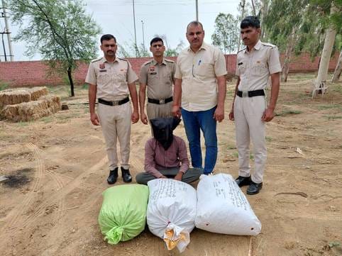 31.5 kg of poppy husk was hidden between the bricks