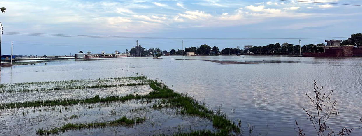 Markanda river is also in spate, 18 thousand acres of crops submerged