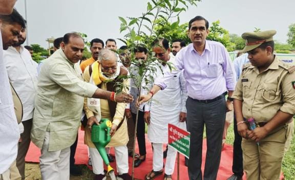 Planting a tree in mother's name will boost the environment