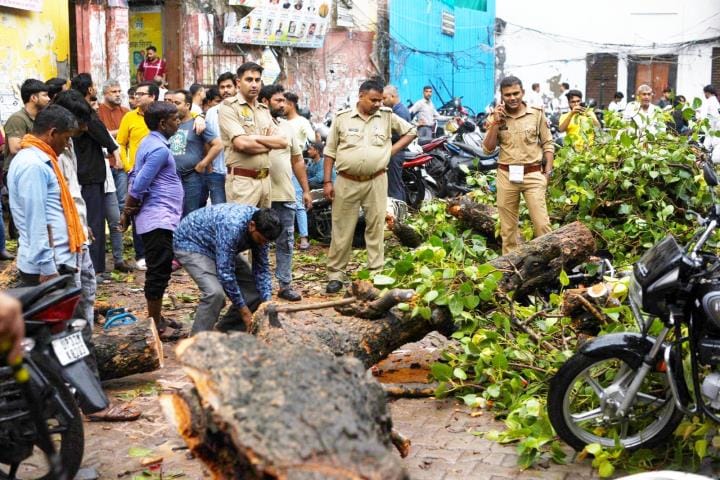 An old tree fell in Aminabad due to rain, 20 vehicles got buried