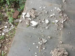 सागवाड़ा के सरकारी कॉलेज में छत से उखड़कर गिरा प्लास्टर