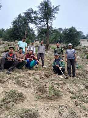 Youth planted pine saplings in Boningsaring and Themgrang