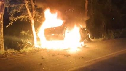 While trying to save a Nilgai, the car hit a tree and caught fire, four youths saved their lives by jumping out