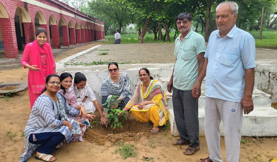 Students took oath to protect trees by planting them