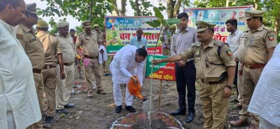 Forest festival started with a campaign named after a tree mother