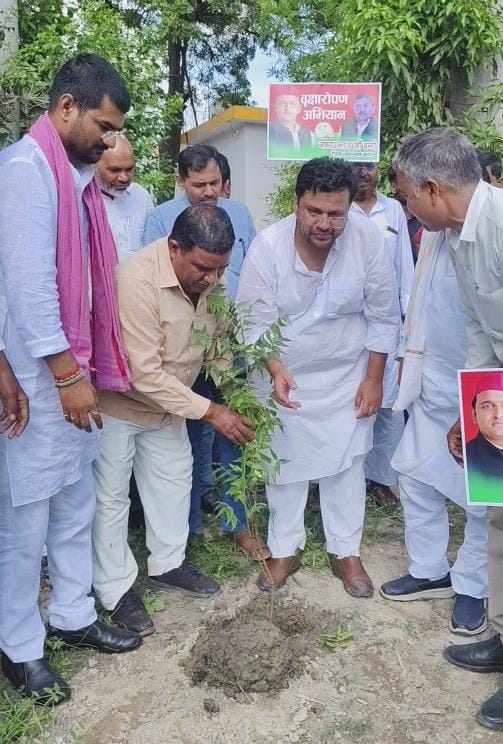 SP workers celebrated the birthday of the SP chief by planting trees