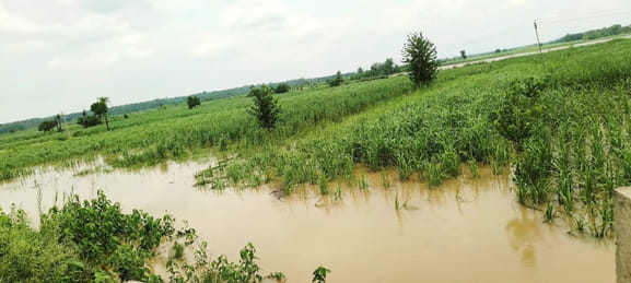 Water filled in village roads and forests, traffic affected