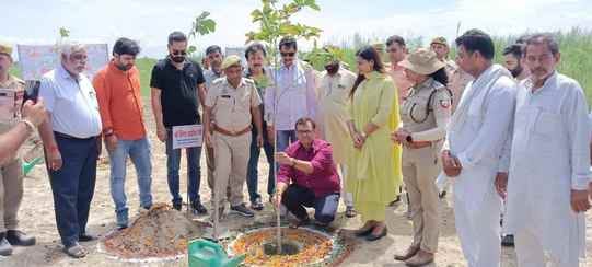 1250 saplings were planted on the first day of Van Mahotsav