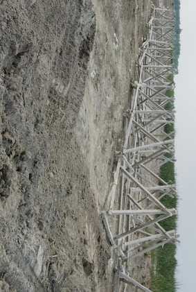The water level of the river decreased, rescue work started near Rahulnagar
