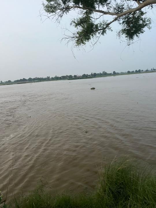 1500 acres of crops submerged due to breaking of Kuttabarh-Kotli Ghaggar flood canal