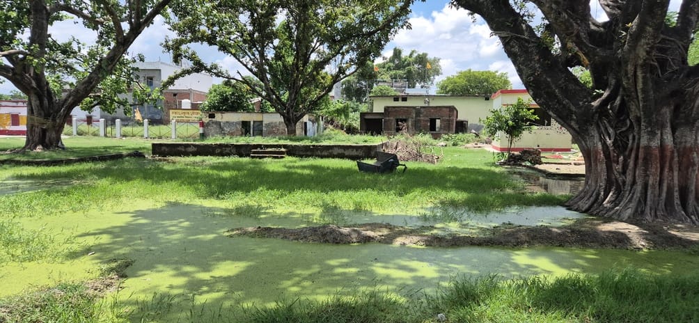 Rakheti Samvilian School Campus became a pond