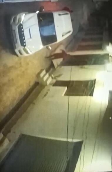 Video of animal theft in luxury car goes viral