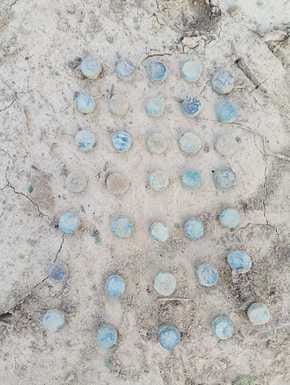 Coins found during digging, SDM confiscated them